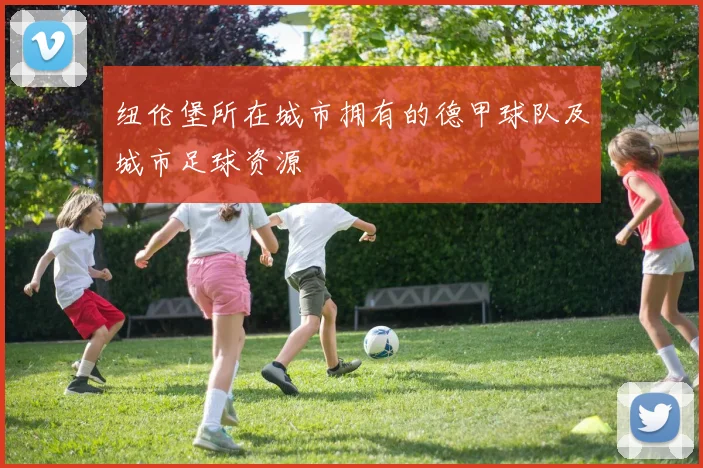 纽伦堡所在城市拥有的德甲球队及城市足球资源