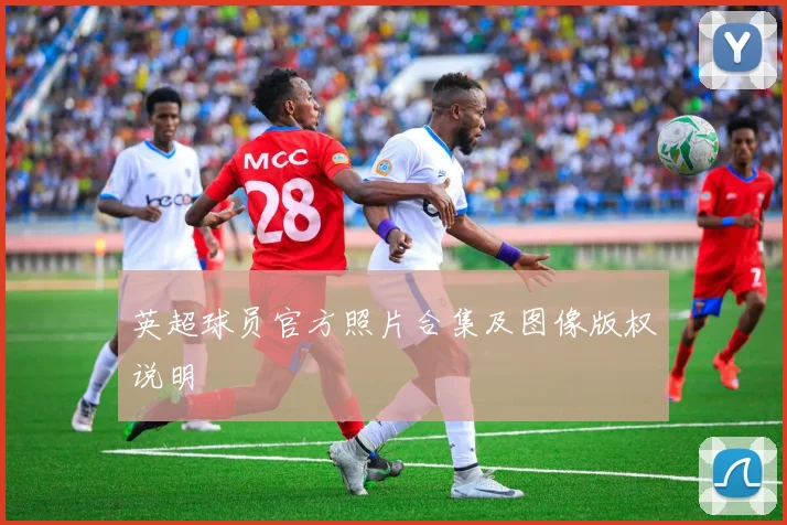 英超球员官方照片合集及图像版权说明