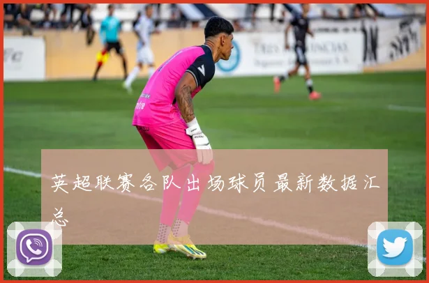 英超联赛各队出场球员最新数据汇总