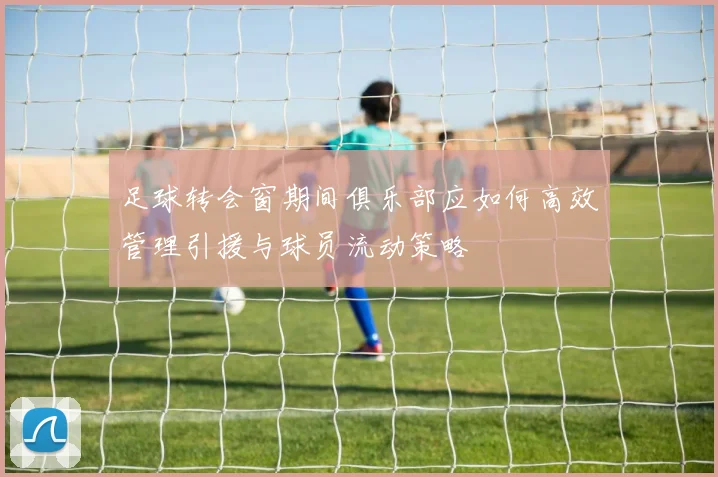 足球转会窗期间俱乐部应如何高效管理引援与球员流动策略