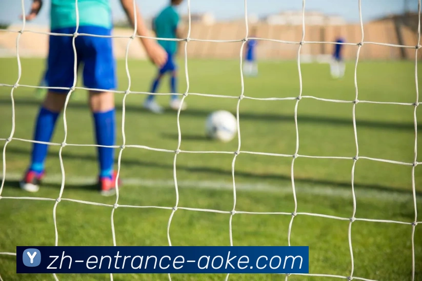 澳客足彩品牌故事